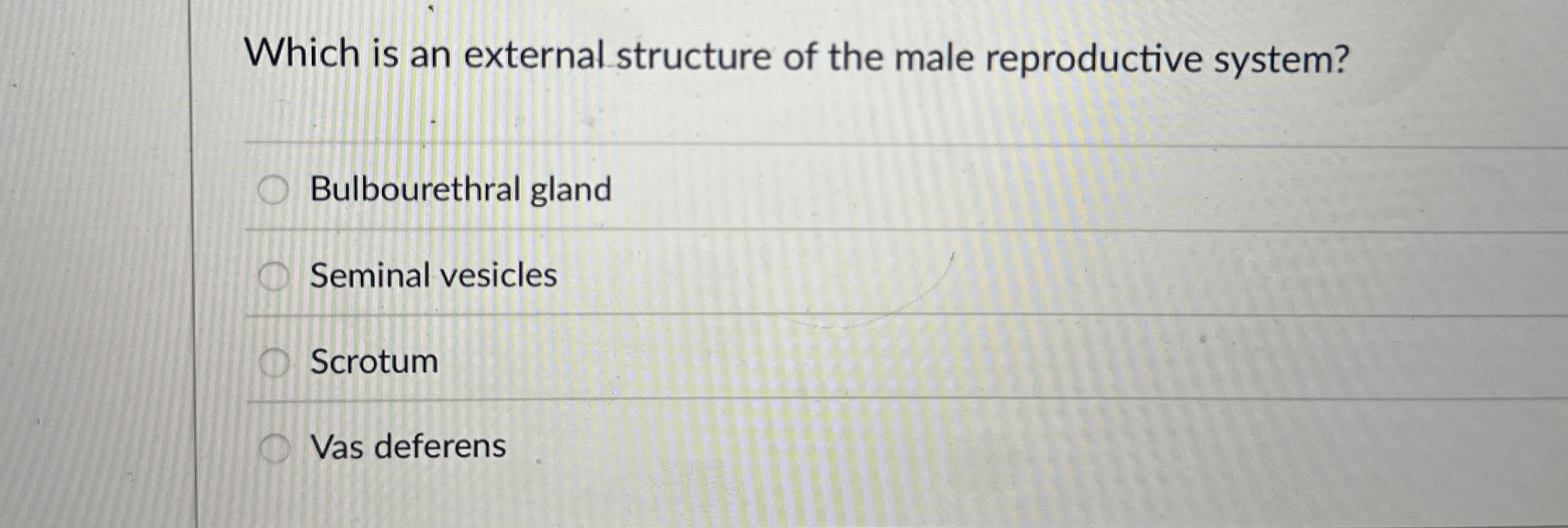 Which Is An External Structure Of The Male 