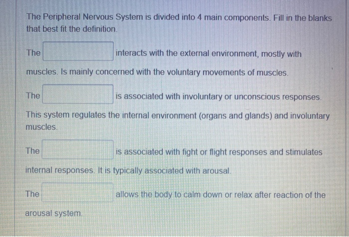 Solved The Peripheral Nervous System is divided into 4 main | Chegg.com