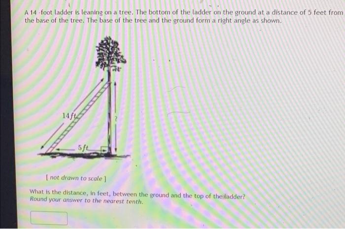 Solved A 14 -foot ladder is leaning on a tree. The bottom of | Chegg.com