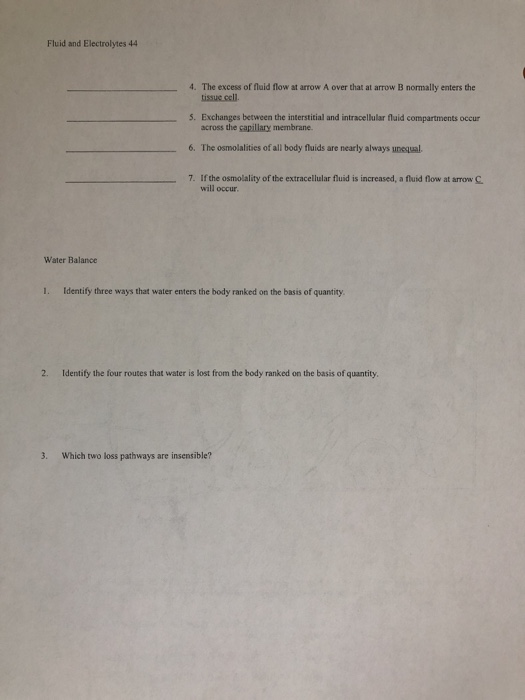 Fluid And Electrolytes Worksheet Answers