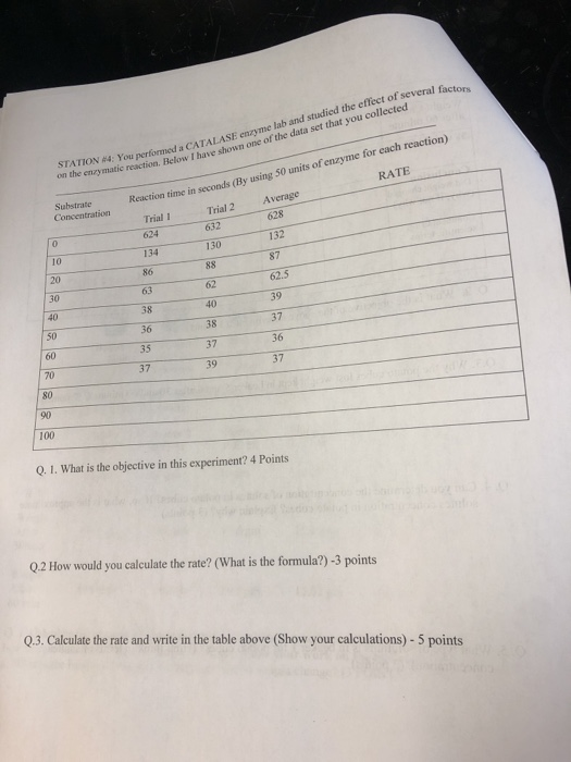 Solved STATION #4: You performed a CATALASE enzyme lab and | Chegg.com