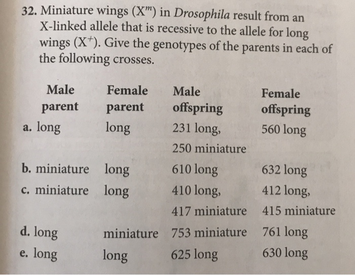 Solved 25. Coat color in cats is determined by genes at