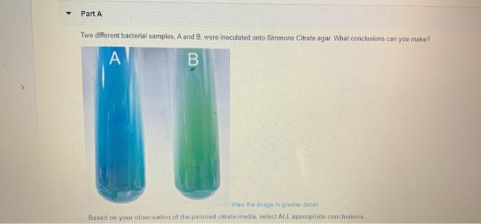 Part A Two Different Bacterial Samples, A And B Were | Chegg.com