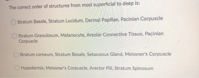 Solved The correct order of structures from most superficial | Chegg.com