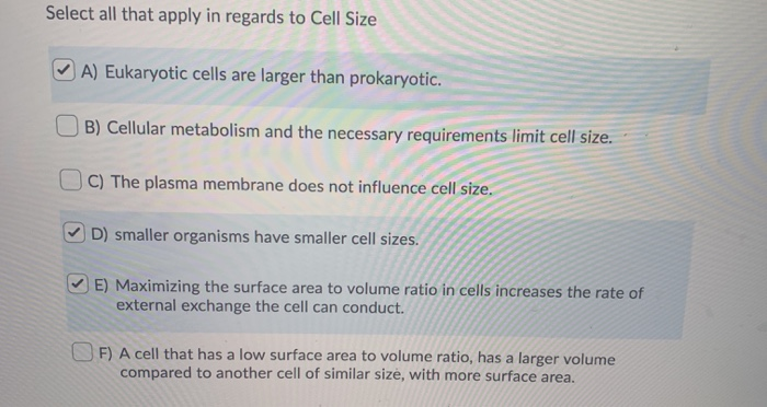 Question 3 1 Point The Volume Enclosed By The Chegg Com