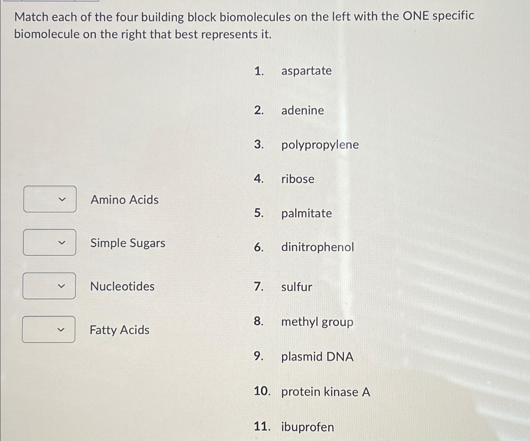 Solved Match each of the four building block biomolecules on