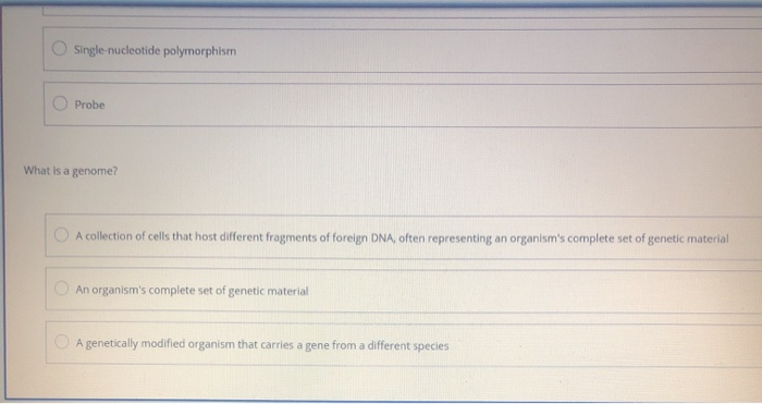 one nucleotide dna sequence variation