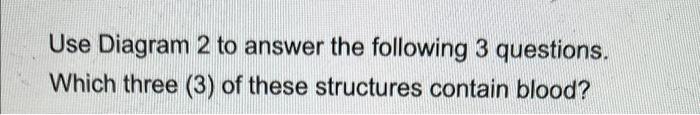 Solved Match the letters on the diagram below to the correct | Chegg.com