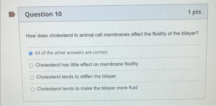 Solved Question 10 1 Pts How Does Cholesterol In Animal Cell 