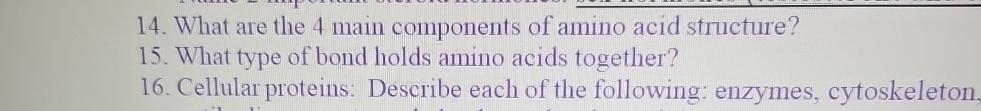 Solved What are the 4 ﻿main components of amino acid | Chegg.com