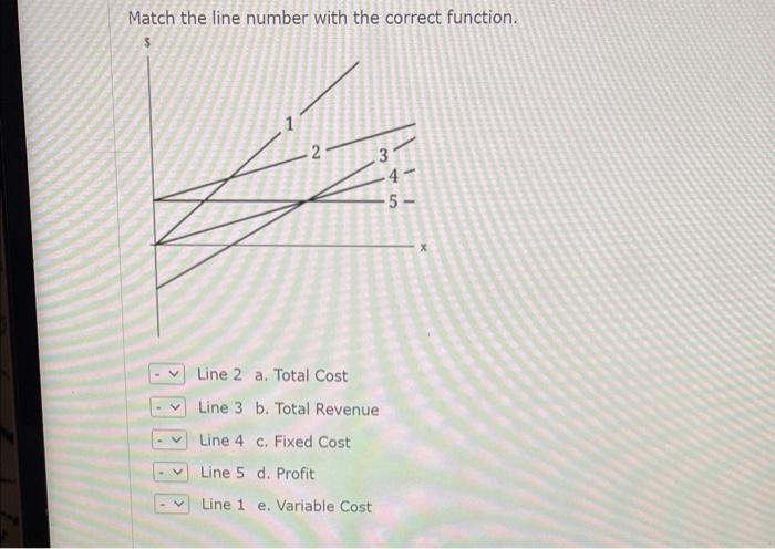 Solved Match the line number with the correct function. Line | Chegg.com