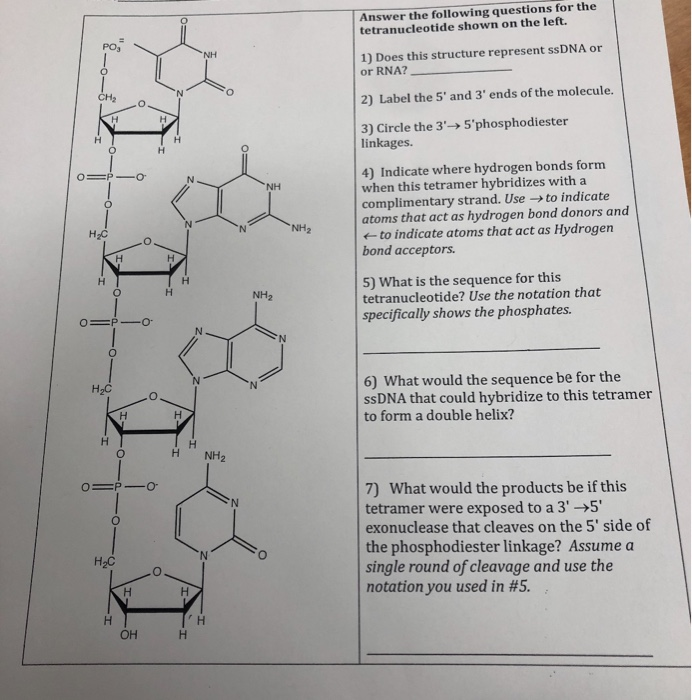 Solved Answer the following questions for the | Chegg.com