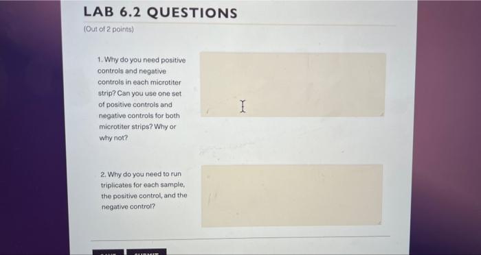 Solved LAB 6.2 QUESTIONS (Out of 2 points) 1. Why do you | Chegg.com