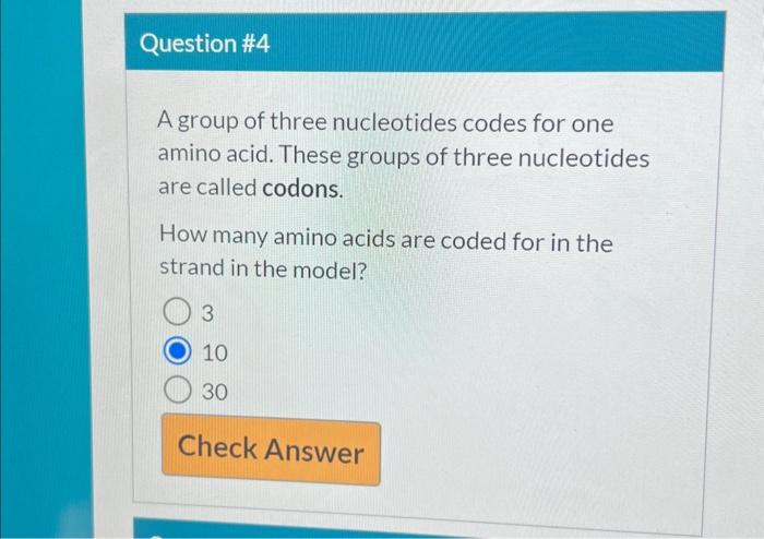 groups of three nucleotides cody