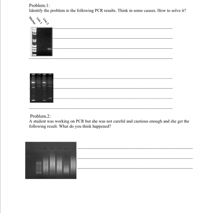 Problem Pcr Solved Problem. 1: Identify the problem in the following PCR | Chegg.com