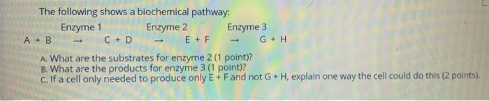 Solved The Following Shows A Biochemical Pathway: Enzyme 1 | Chegg.com