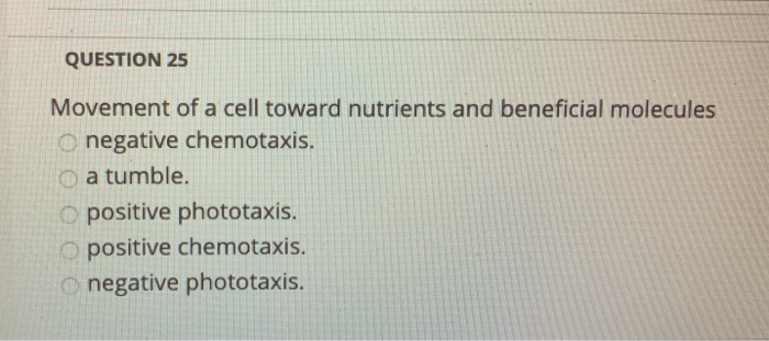 chemotaxis movement