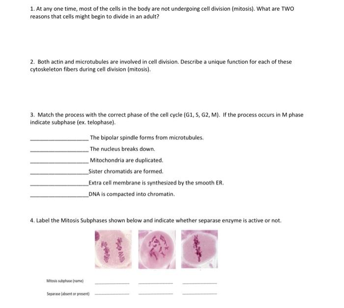 Solved 1. At any one time, most of the cells in the body are | Chegg.com