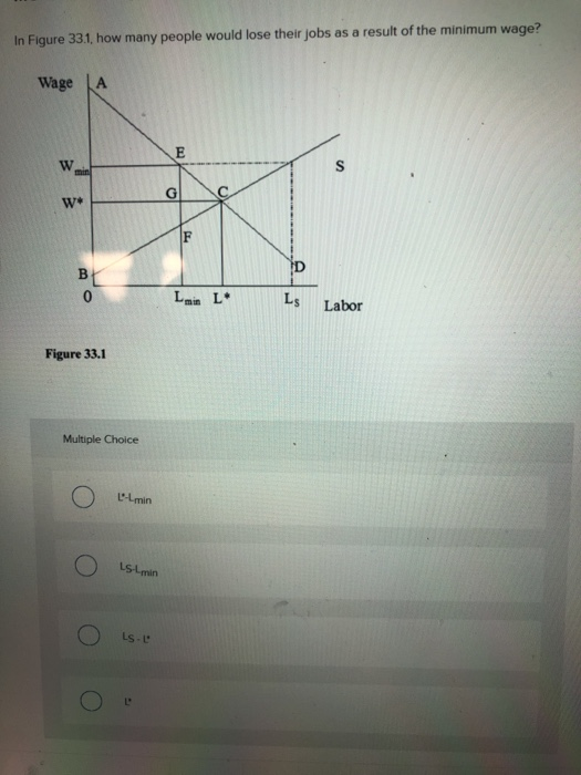 Solved In Figure 33.1, at the minimum wage, the producer
