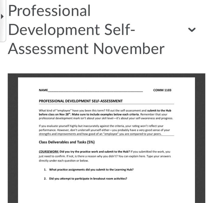 Professional Development Self Assessment November Chegg Com