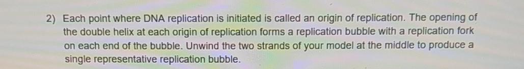 Solved Each point where DNA replication is initiated is | Chegg.com