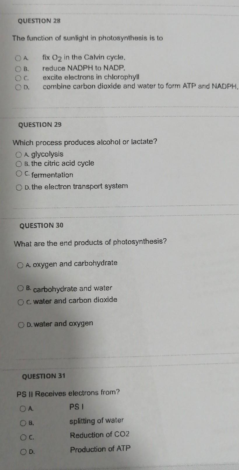 Solved QUESTION 28 The function of sunlight in | Chegg.com
