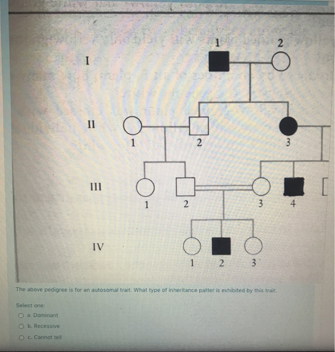 Solved Nondisjunction involving the Y chromosome can occur | Chegg.com