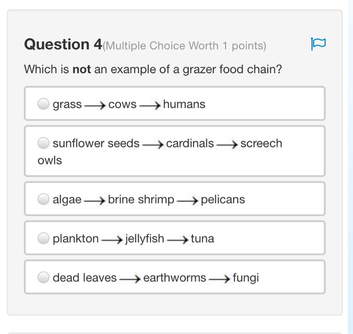 Solved Question 4(Multiple Choice Worth 1 points) Which is | Chegg.com