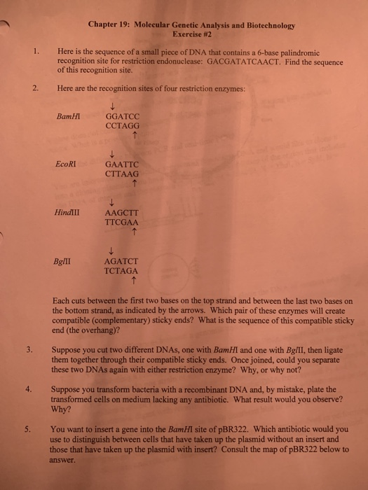 solved-chapter-19-molecular-genetic-analysis-and-chegg