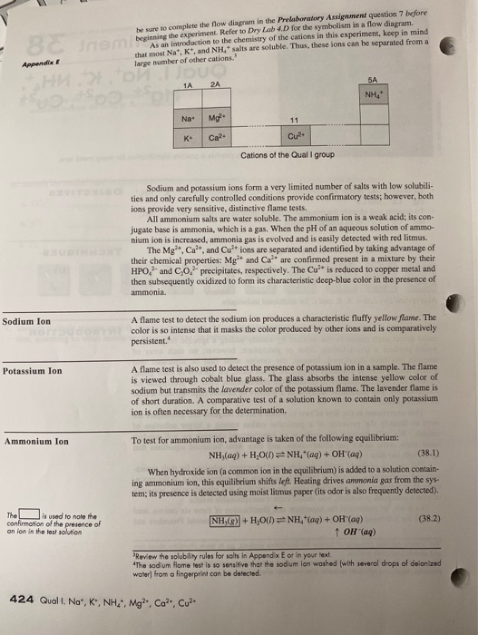 solved-experiment-38-report-sheet-quai-na-k-nh4-mg-chegg