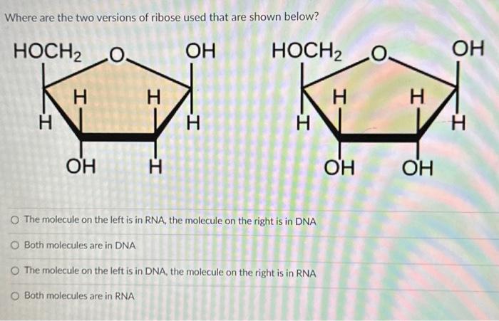 Solved Where are the two versions of ribose used that are | Chegg.com