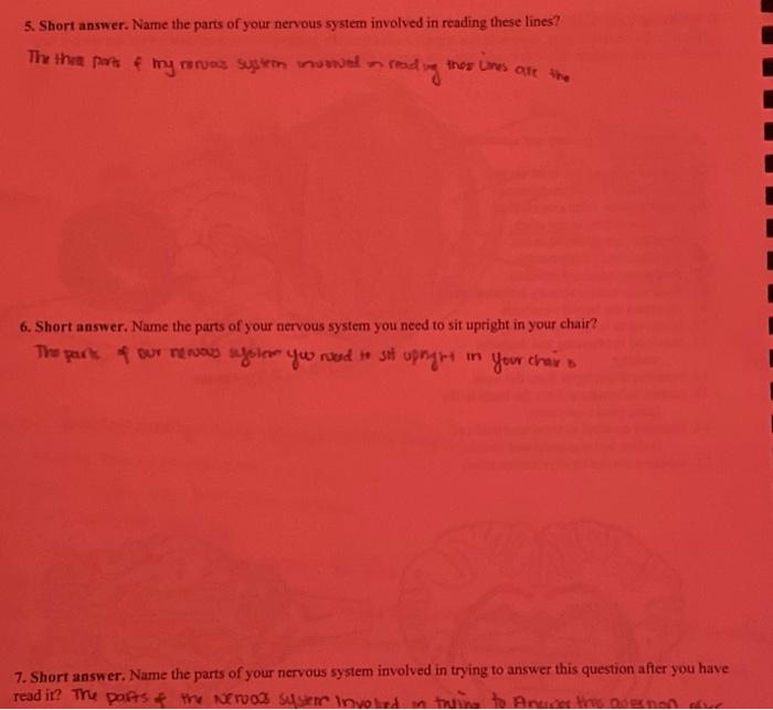 solved-5-short-answer-name-the-parts-of-your-nervous-chegg