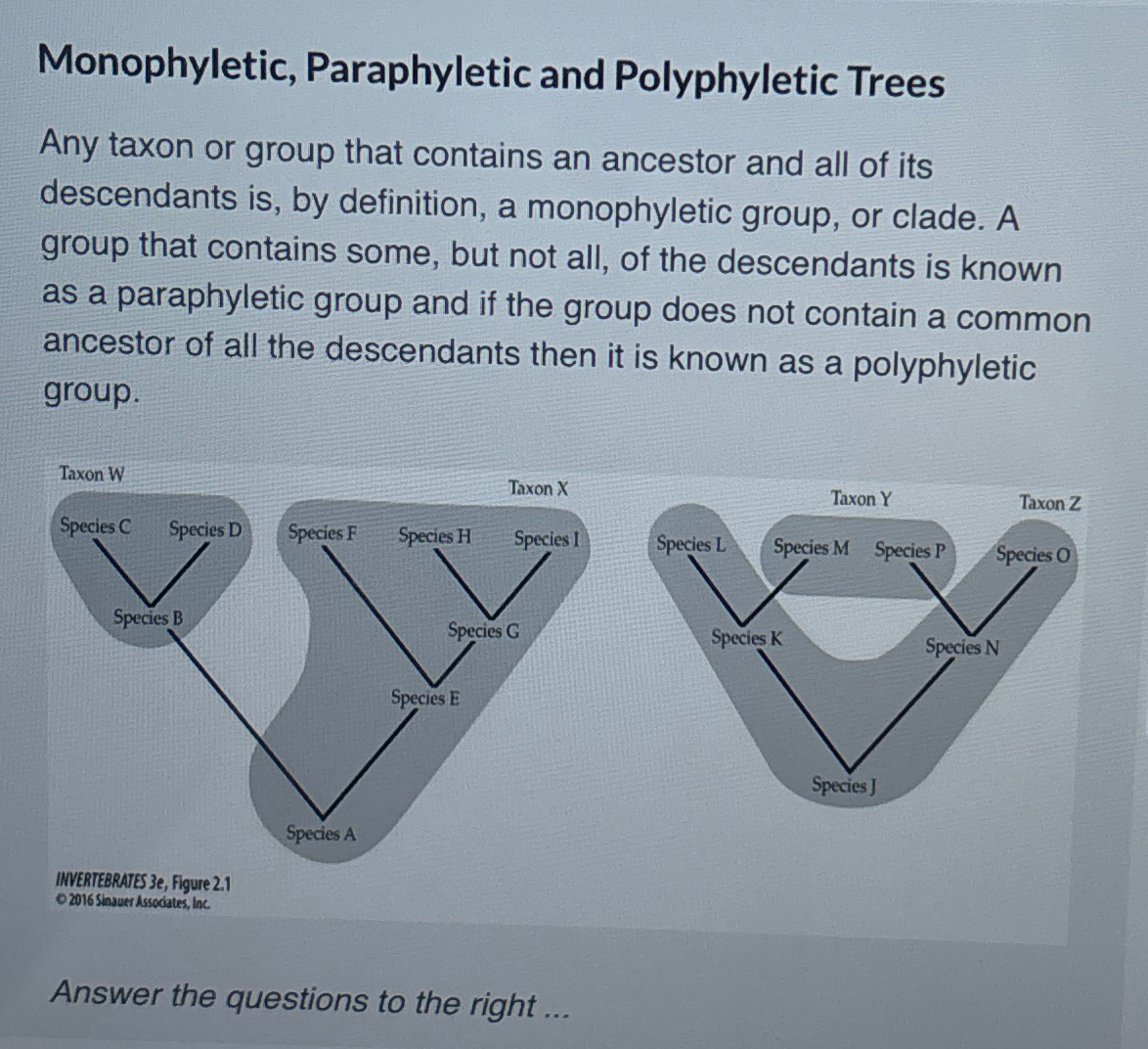 Solved Monophyletic, Paraphyletic and Polyphyletic TreesAny | Chegg.com