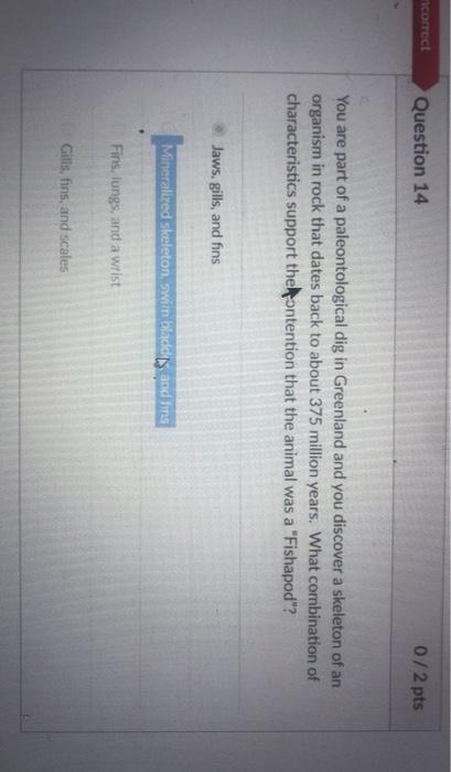 Solved Question 11 072 pts Which of the following is a | Chegg.com