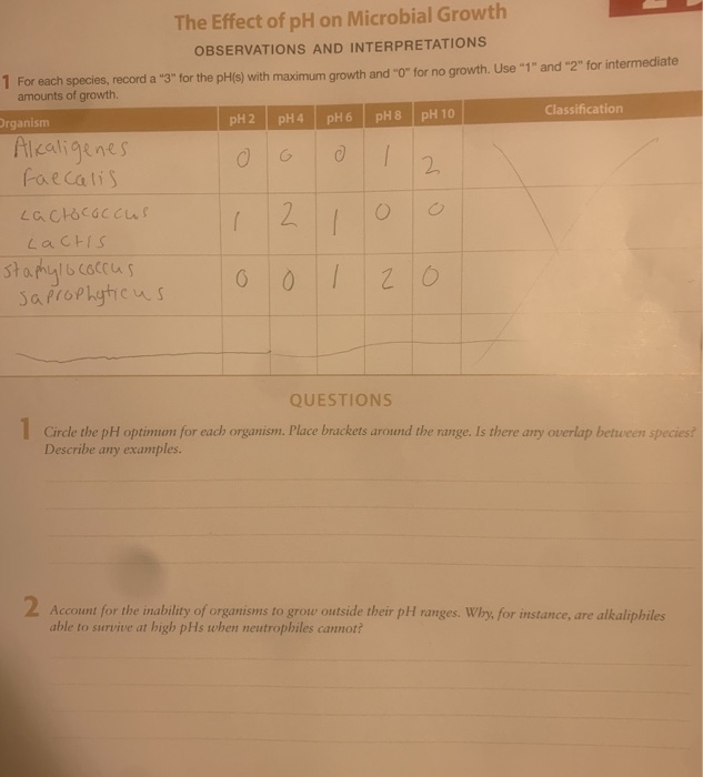 The Effect Of PH On Microbial Growth OBSERVATIONS AND | Chegg.com