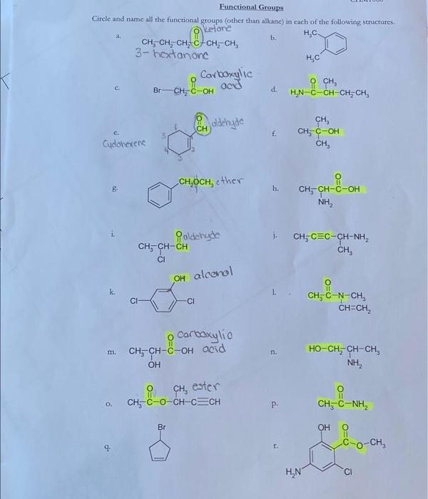 Solved Functional Groups Circle And Name All The Functional 2911