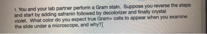 Solved 1. You and your lab partner perform a Gram stain. | Chegg.com