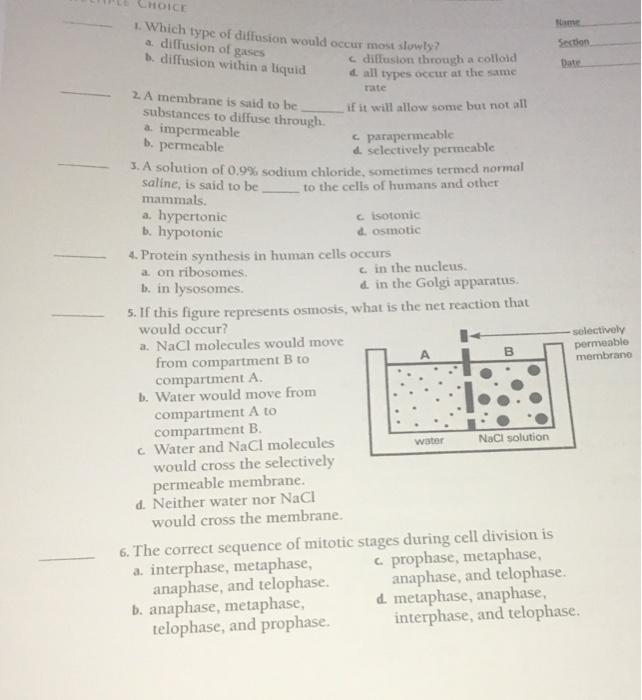 Solved Name CHOICE 1. Which type of diffusion would occur | Chegg.com
