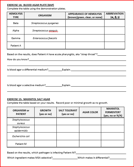 Solved EXERCISE 14: BLOOD AGAR PLATE (BAP)Complete The Table | Chegg.com