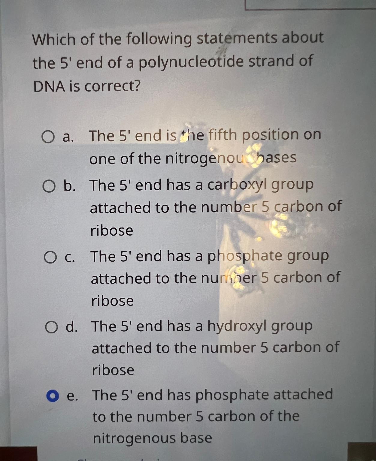 Solved Which of the following statements about the 5 ' ﻿end | Chegg.com
