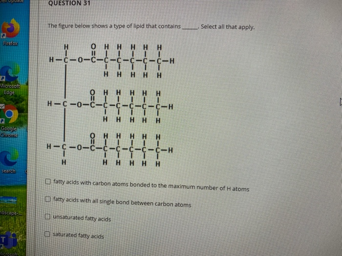 Solved QUESTION 31 The figure below shows a type of lipid | Chegg.com