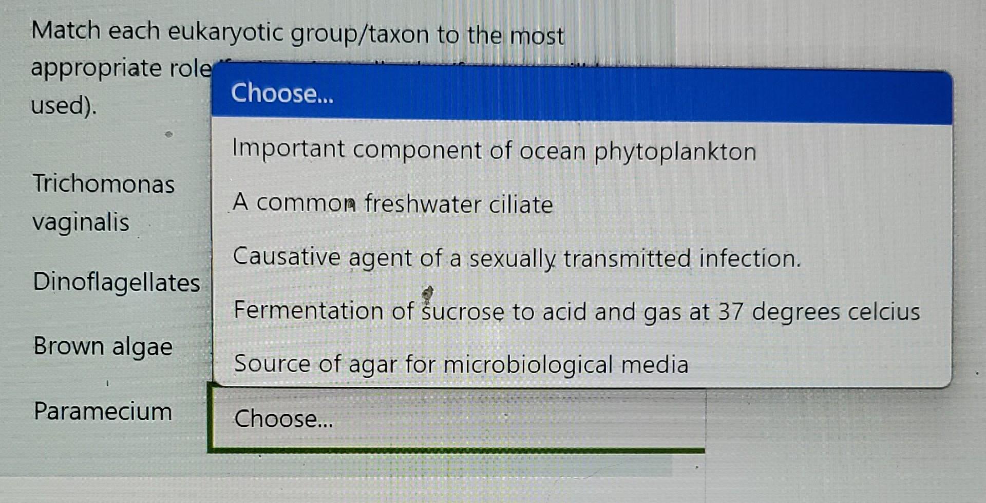 Solved The Organism In The Figure Below Would Be Classified | Chegg.com