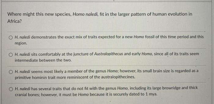 Homo naledi Walked Earth More Recently than Thought