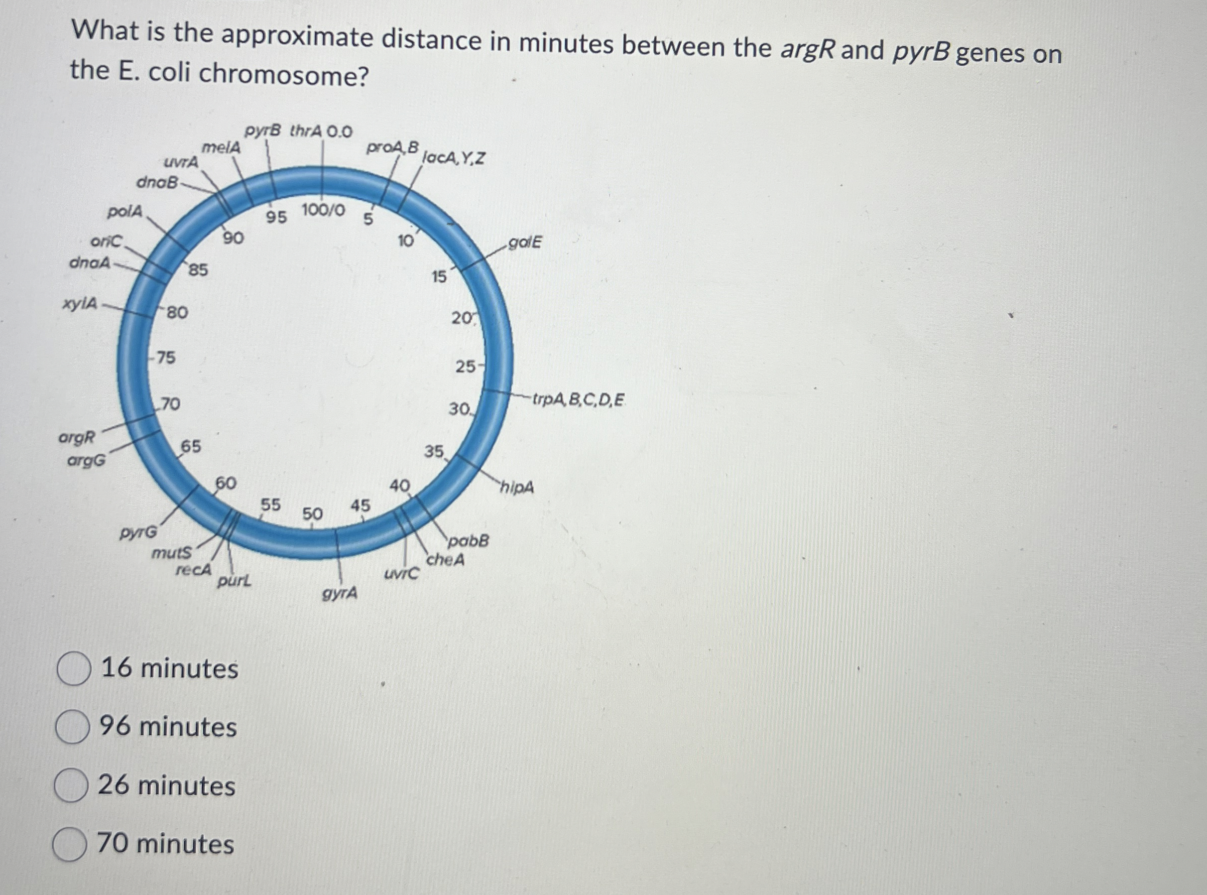 What is the approximate distance in minutes between | Chegg.com