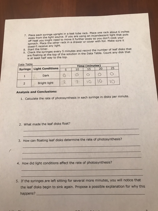 Solved i got the results for this photosynthesis spinach
