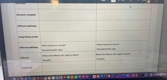Solved Use the table below to diagram the reflex pathways | Chegg.com