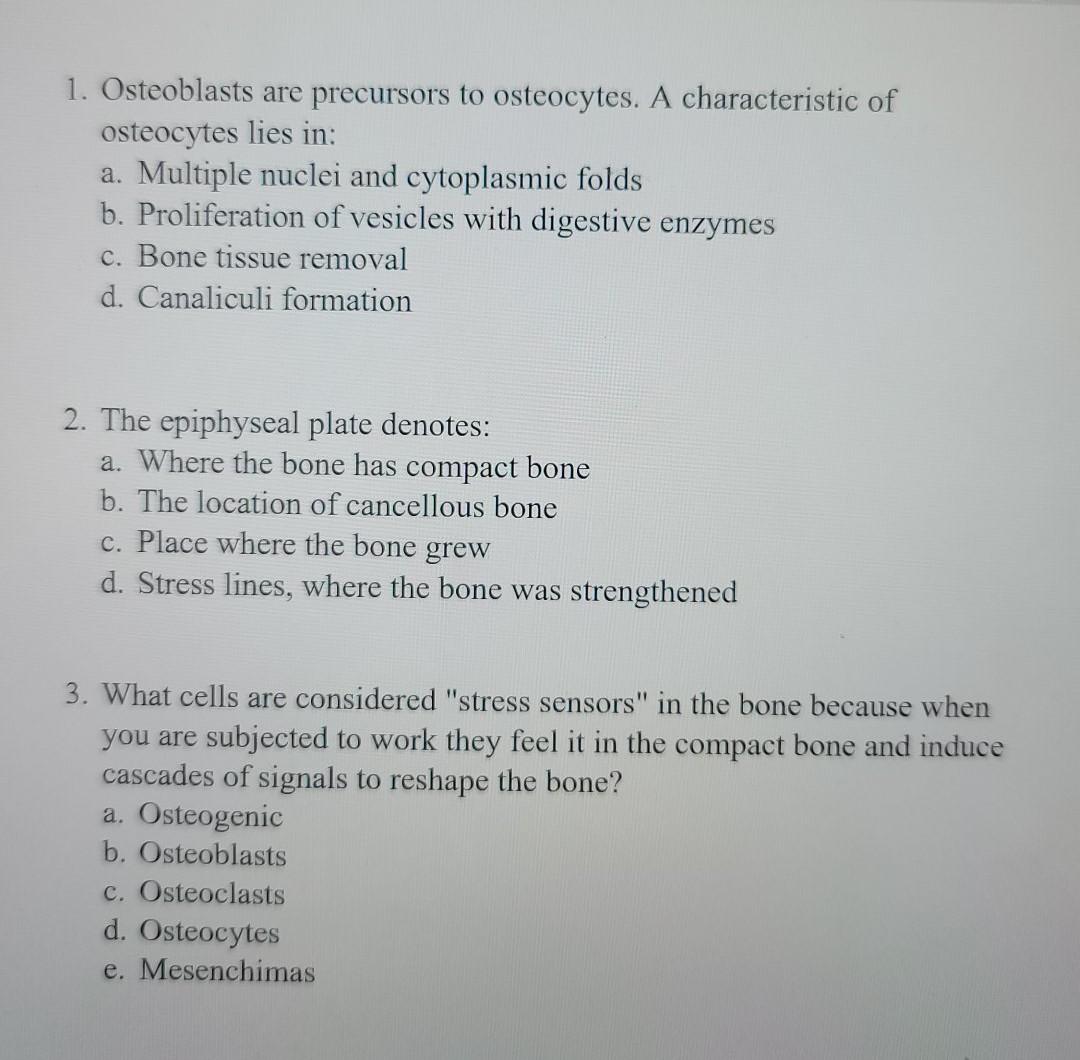 Solved 1. Osteoblasts are precursors to osteocytes. A | Chegg.com