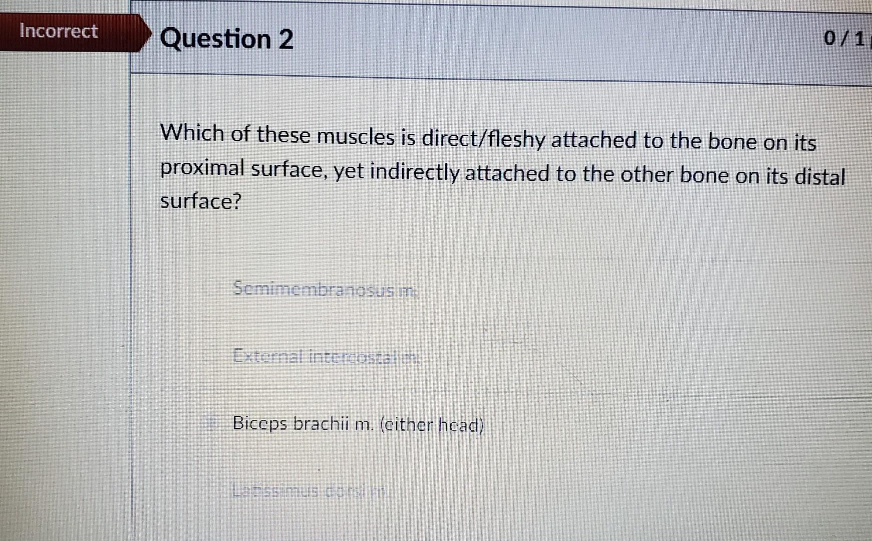 Solved Which of these muscles is direct/fleshy attached to