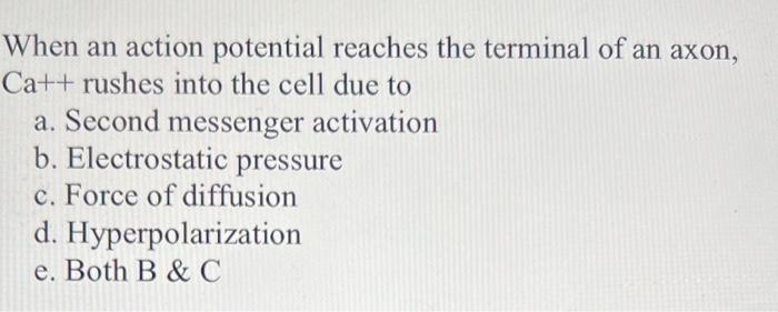 Solved When an action potential reaches the terminal of an | Chegg.com