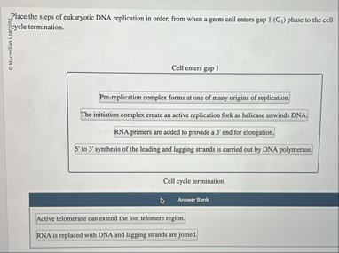 Solved Place the steps of cukaryotic DNA replication in | Chegg.com
